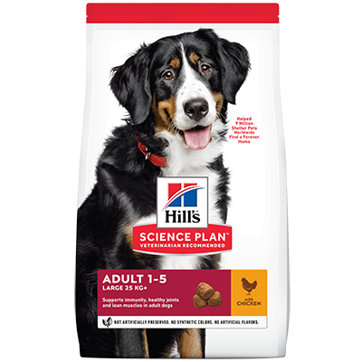 parti omhyggelig Smil Hill's Adult Advanced Fitness Large Breed with Chicken